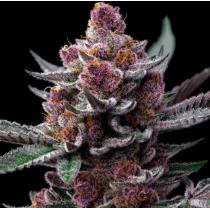 Cherry Poppers (x3) Cherry Poppers (x3)